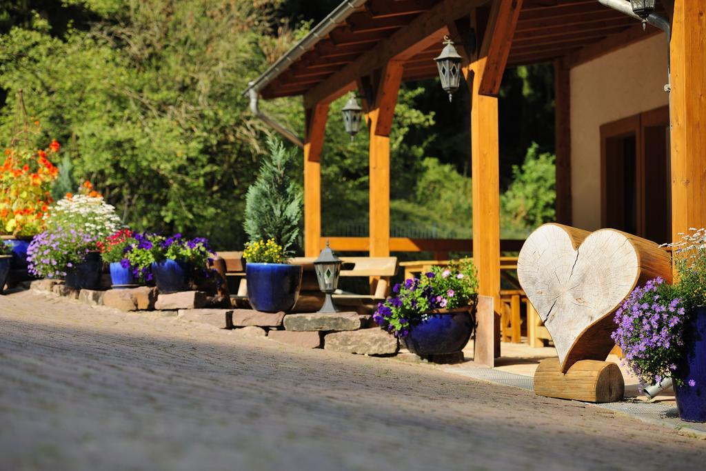 Landhotel Baumwipfel Willingen  Exterior photo