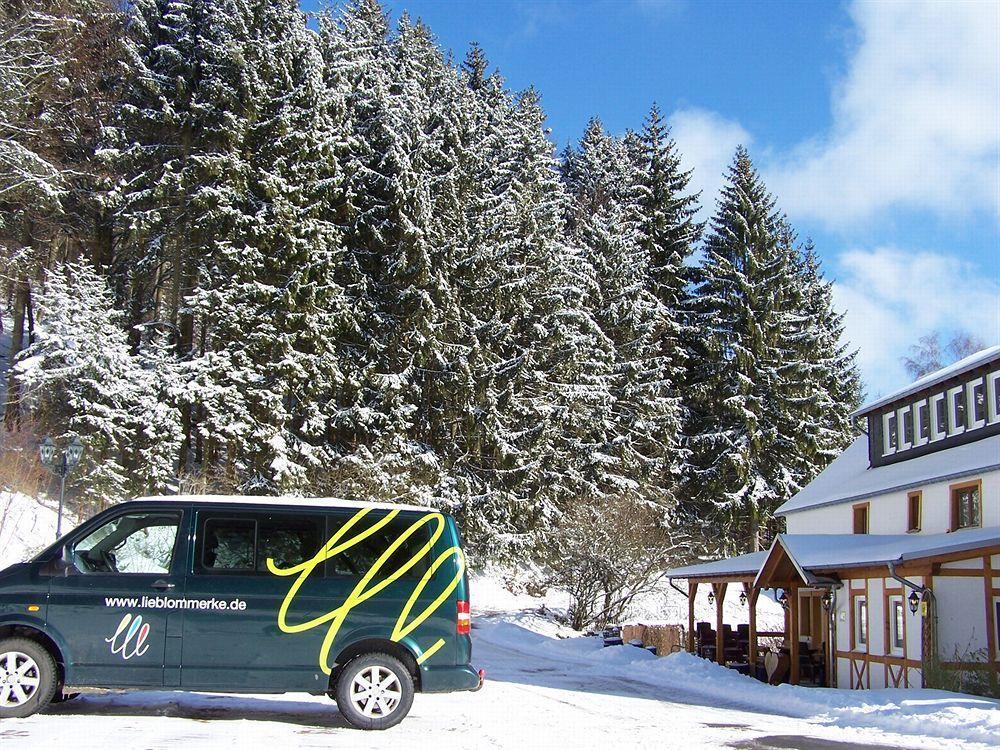 Landhotel Baumwipfel Willingen  Exterior photo